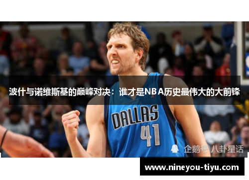波什与诺维斯基的巅峰对决：谁才是NBA历史最伟大的大前锋